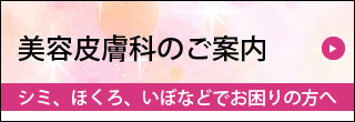 美容皮膚科のご案内
